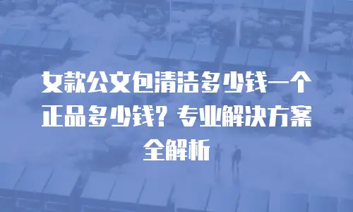 女款公文包清洁多少钱一个正品多少钱？专业解决方案全解析