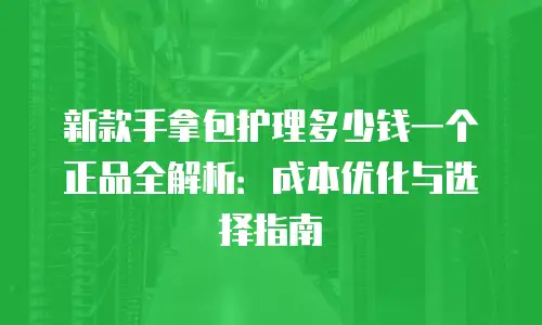 新款手拿包护理多少钱一个正品全解析：成本优化与选择指南