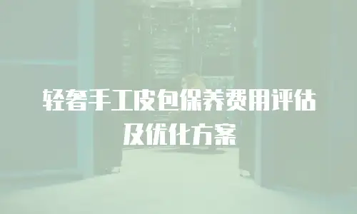 轻奢手工皮包保养费用评估及优化方案
