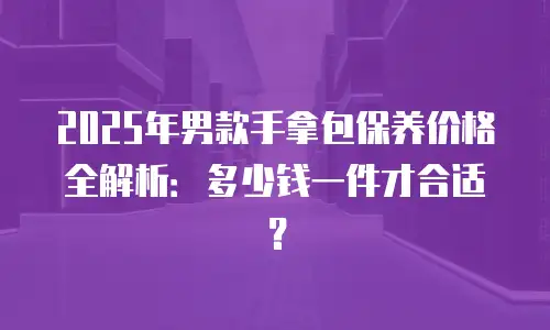2025年男款手拿包保养价格全解析：多少钱一件才合适？