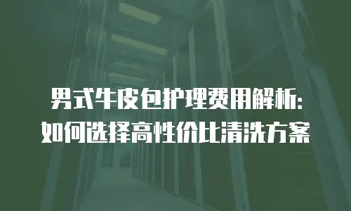男式牛皮包护理费用解析：如何选择高性价比清洗方案