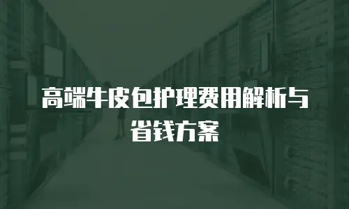 高端牛皮包护理费用解析与省钱方案
