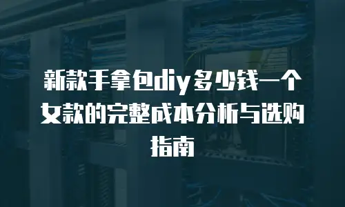 新款手拿包diy多少钱一个女款的完整成本分析与选购指南
