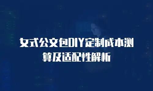 女式公文包DIY定制成本测算及适配性解析
