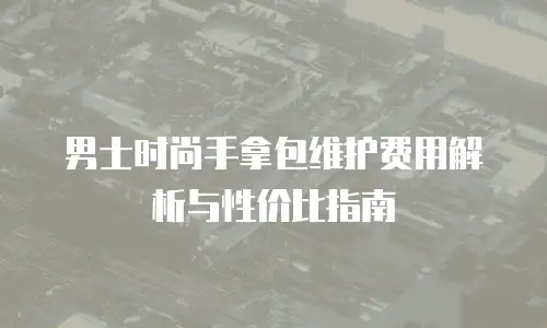男士时尚手拿包维护费用解析与性价比指南