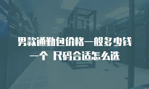 男款通勤包价格一般多少钱一个 尺码合适怎么选