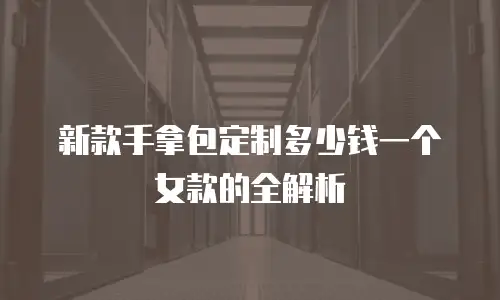 新款手拿包定制多少钱一个女款的全解析