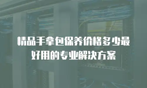 精品手拿包保养价格多少最好用的专业解决方案