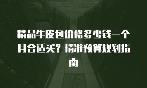 精品牛皮包价格多少钱一个月合适买？精准预算规划指南