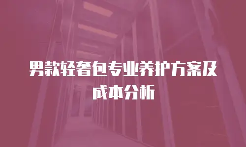 男款轻奢包专业养护方案及成本分析