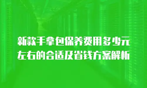 新款手拿包保养费用多少元左右的合适及省钱方案解析