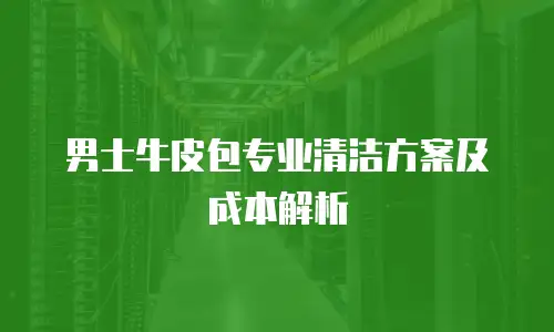 男士牛皮包专业清洁方案及成本解析