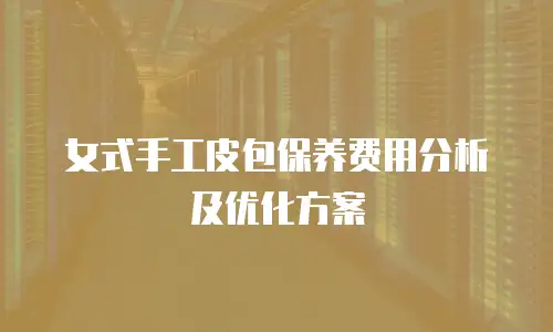 女式手工皮包保养费用分析及优化方案