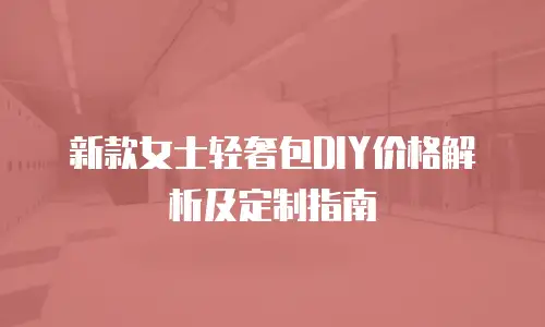 新款女士轻奢包DIY价格解析及定制指南