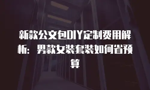 新款公文包DIY定制费用解析：男款女装套装如何省预算