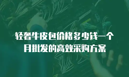 轻奢牛皮包价格多少钱一个月批发的高效采购方案