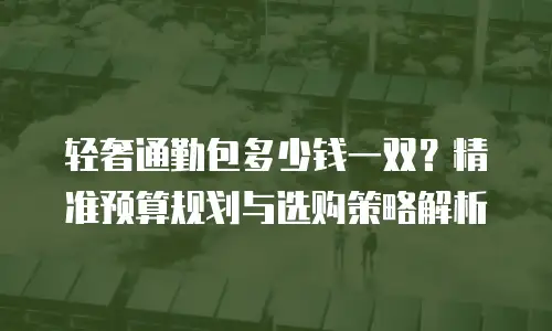 轻奢通勤包多少钱一双？精准预算规划与选购策略解析