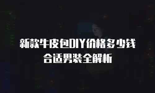 新款牛皮包DIY价格多少钱合适男装全解析