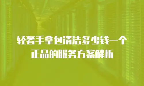 轻奢手拿包清洁多少钱一个正品的服务方案解析