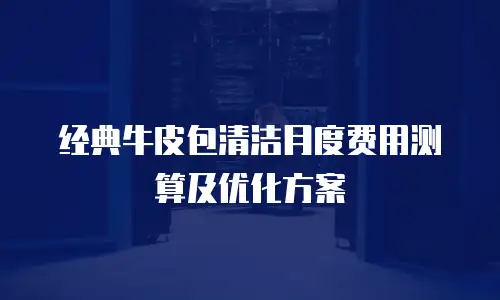 经典牛皮包清洁月度费用测算及优化方案