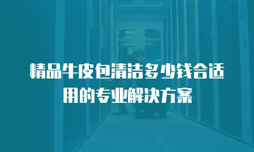 精品牛皮包清洁多少钱合适用的专业解决方案
