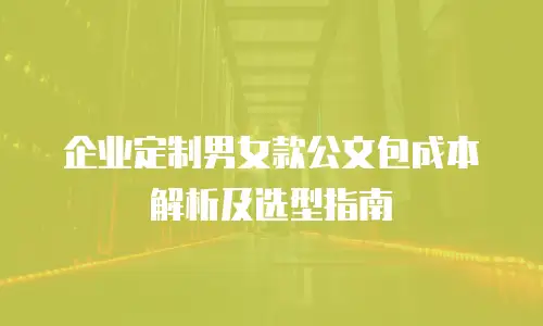 企业定制男女款公文包成本解析及选型指南