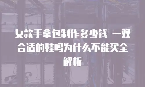 女款手拿包制作多少钱 一双合适的鞋吗为什么不能买全解析