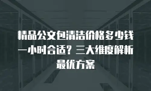 精品公文包清洁价格多少钱一小时合适？三大维度解析最优方案