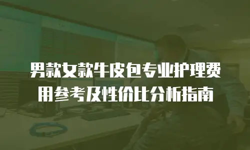 男款女款牛皮包专业护理费用参考及性价比分析指南