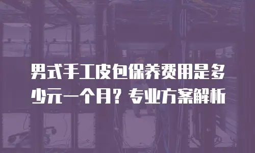 男式手工皮包保养费用是多少元一个月？专业方案解析