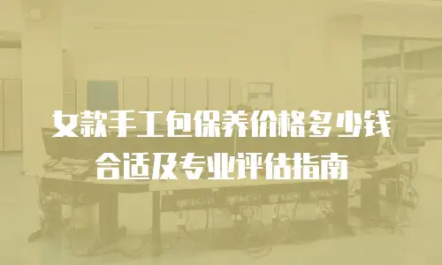 女款手工包保养价格多少钱合适及专业评估指南