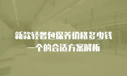 新款轻奢包保养价格多少钱一个的合适方案解析