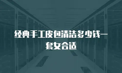 经典手工皮包清洁多少钱一套女合适
