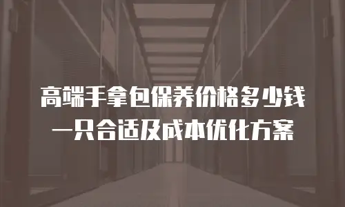 高端手拿包保养价格多少钱一只合适及成本优化方案