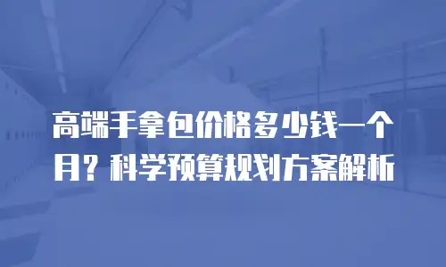 高端手拿包价格多少钱一个月？科学预算规划方案解析