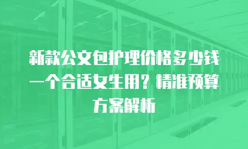 新款公文包护理价格多少钱一个合适女生用？精准预算方案解析