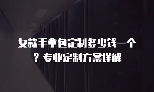 女款手拿包定制多少钱一个？专业定制方案详解
