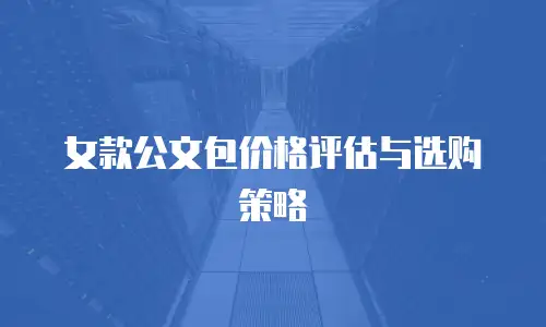 女款公文包价格评估与选购策略