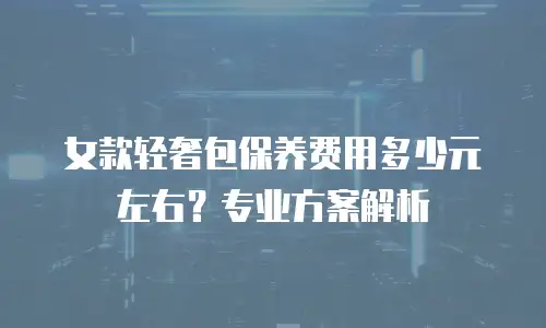 女款轻奢包保养费用多少元左右？专业方案解析