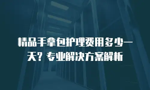 精品手拿包护理费用多少一天？专业解决方案解析