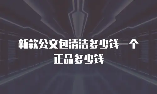 新款公文包清洁多少钱一个正品多少钱