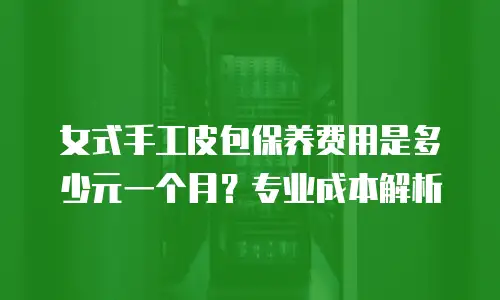 女式手工皮包保养费用是多少元一个月？专业成本解析
