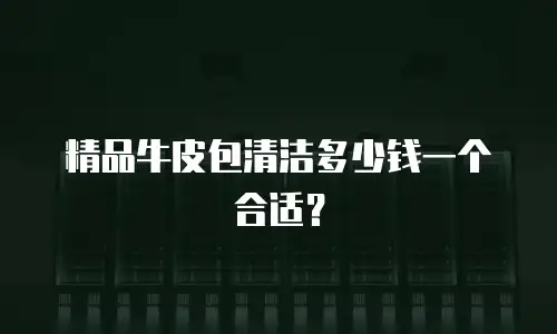 精品牛皮包清洁多少钱一个合适？