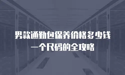 男款通勤包保养价格多少钱一个尺码的全攻略