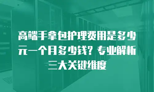 高端手拿包护理费用是多少元一个月多少钱？专业解析三大关键维度