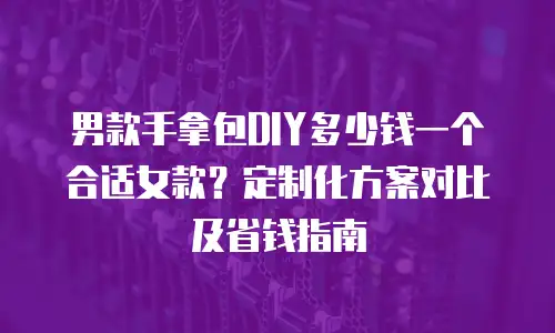 男款手拿包DIY多少钱一个合适女款？定制化方案对比及省钱指南