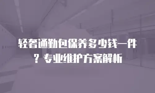 轻奢通勤包保养多少钱一件？专业维护方案解析