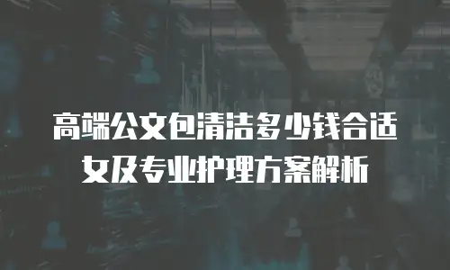 高端公文包清洁多少钱合适女及专业护理方案解析