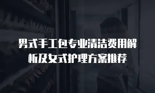 男式手工包专业清洁费用解析及女式护理方案推荐