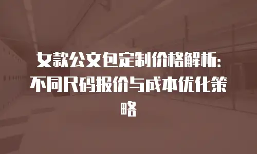 女款公文包定制价格解析：不同尺码报价与成本优化策略